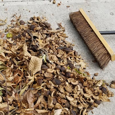 Woman cleaning landscaping