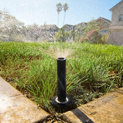 Lawn being irrigated
